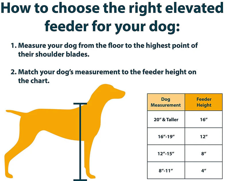 pet feeder chart