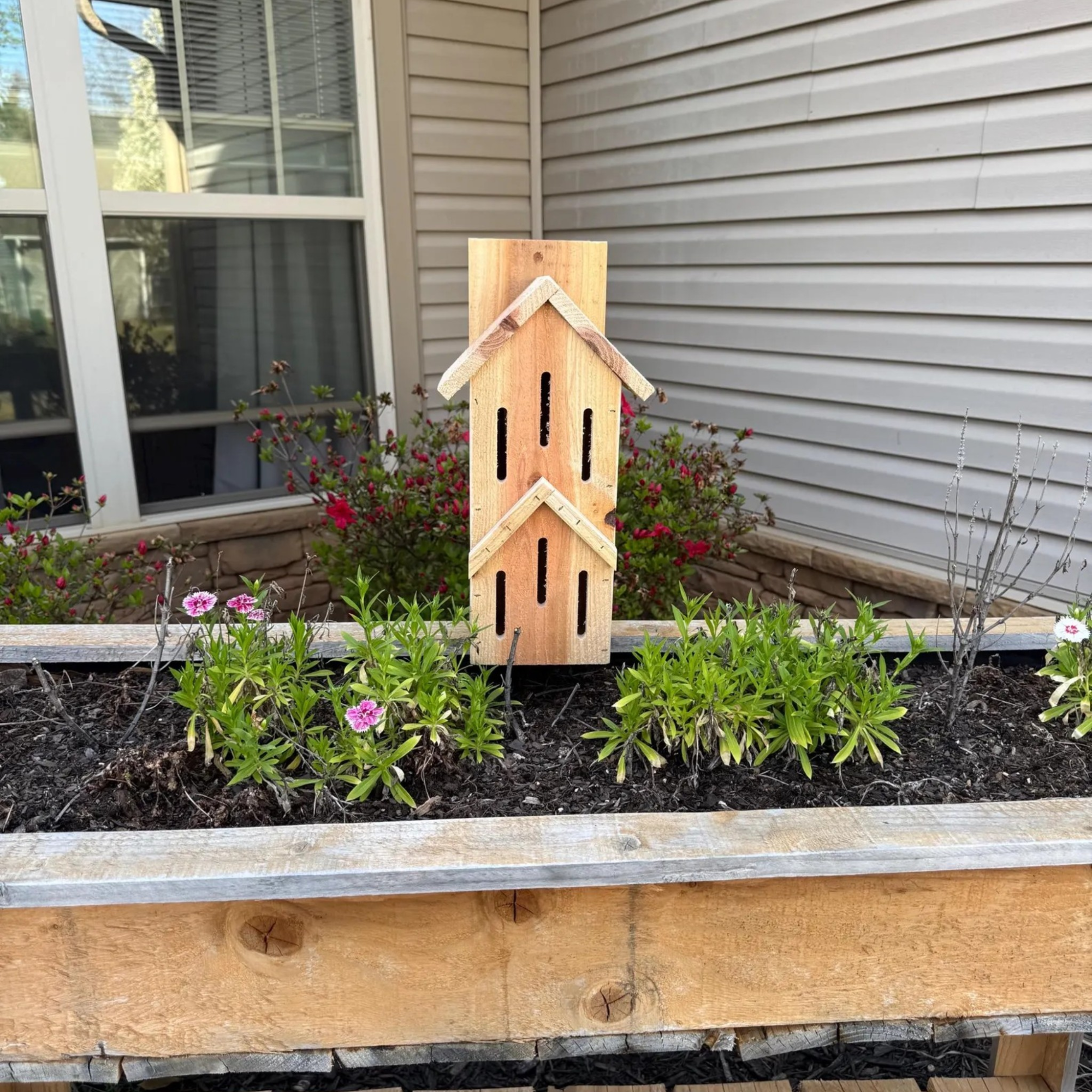 Butterfly Houses