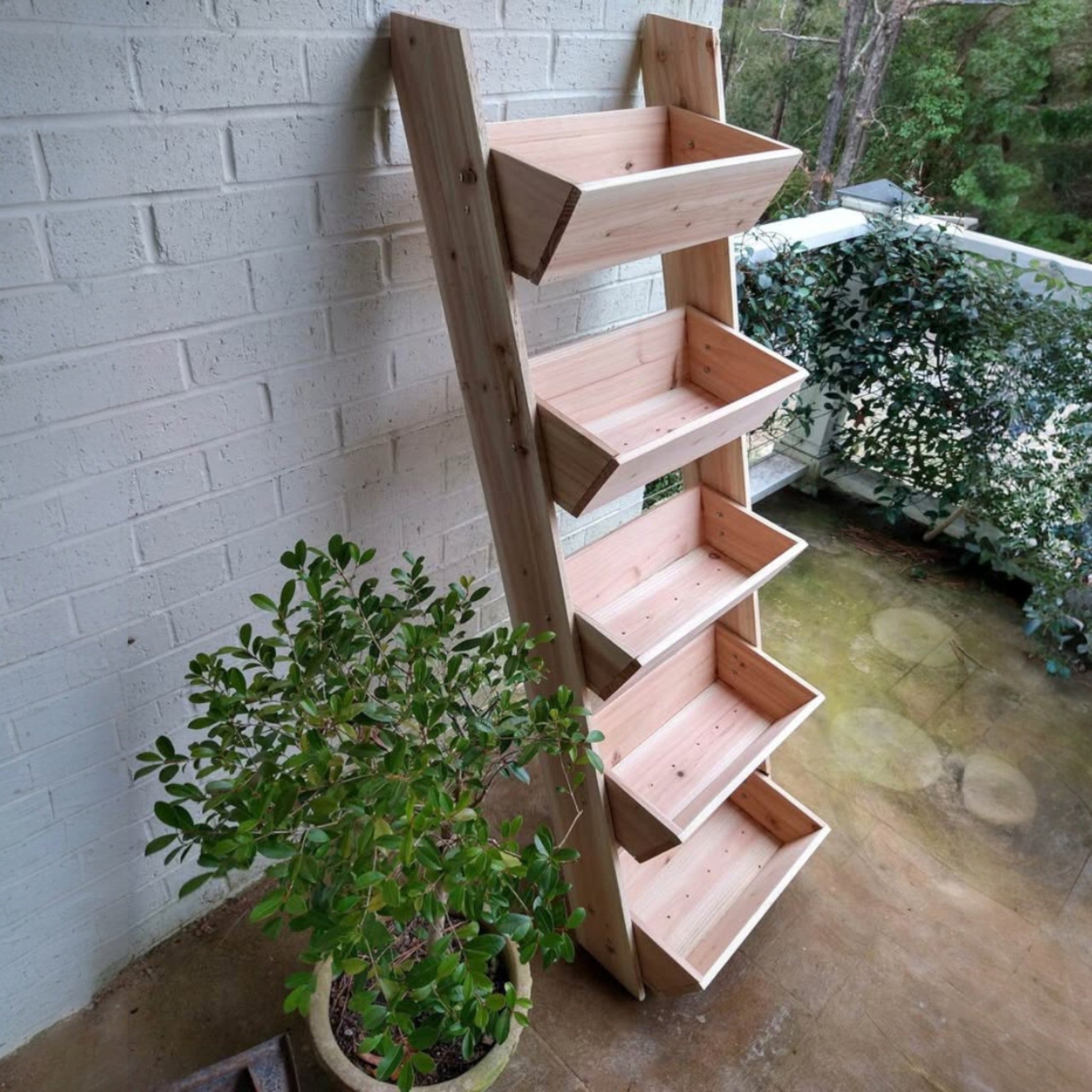 Ladder Planter