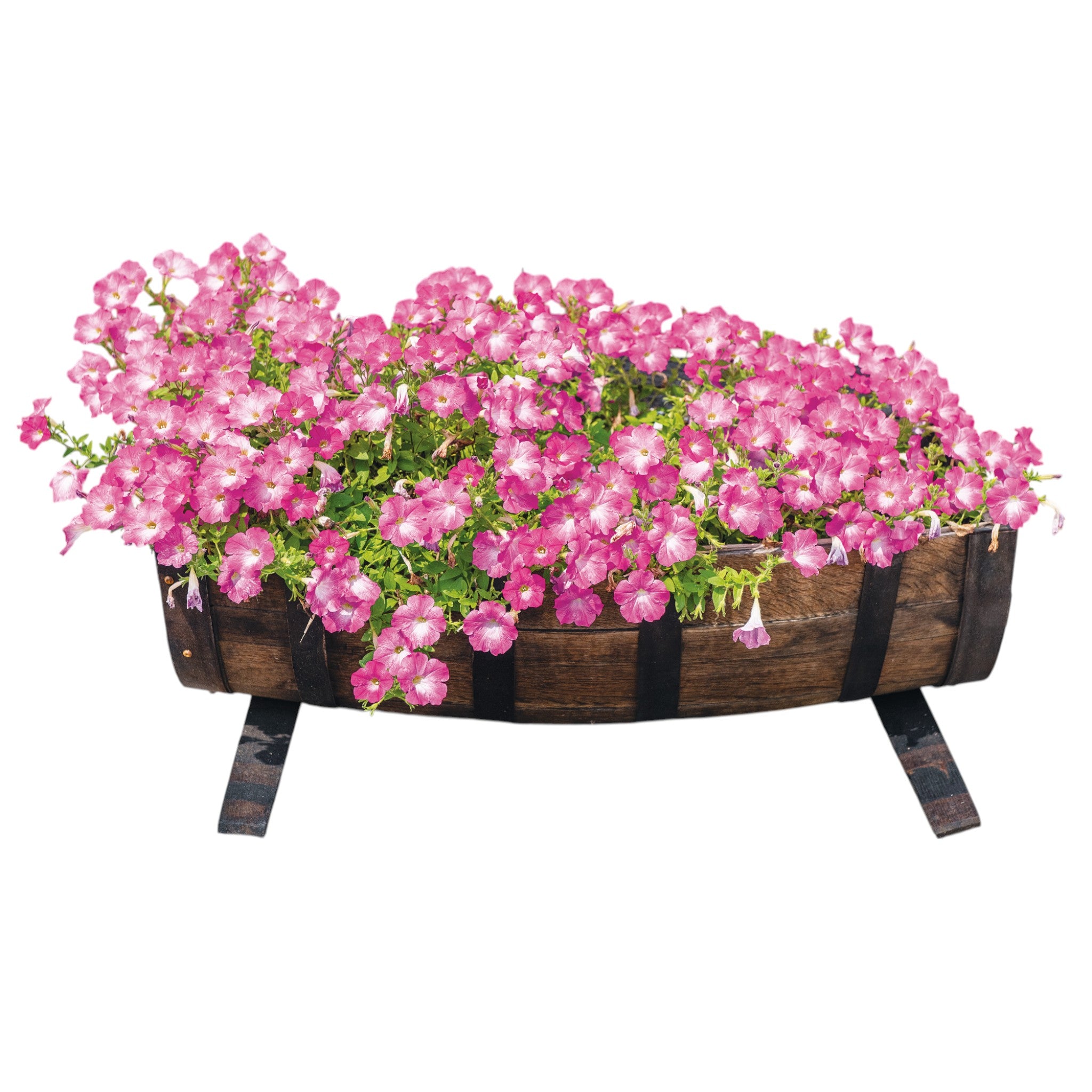 1773 Boston Harbor Half Barrel Planter