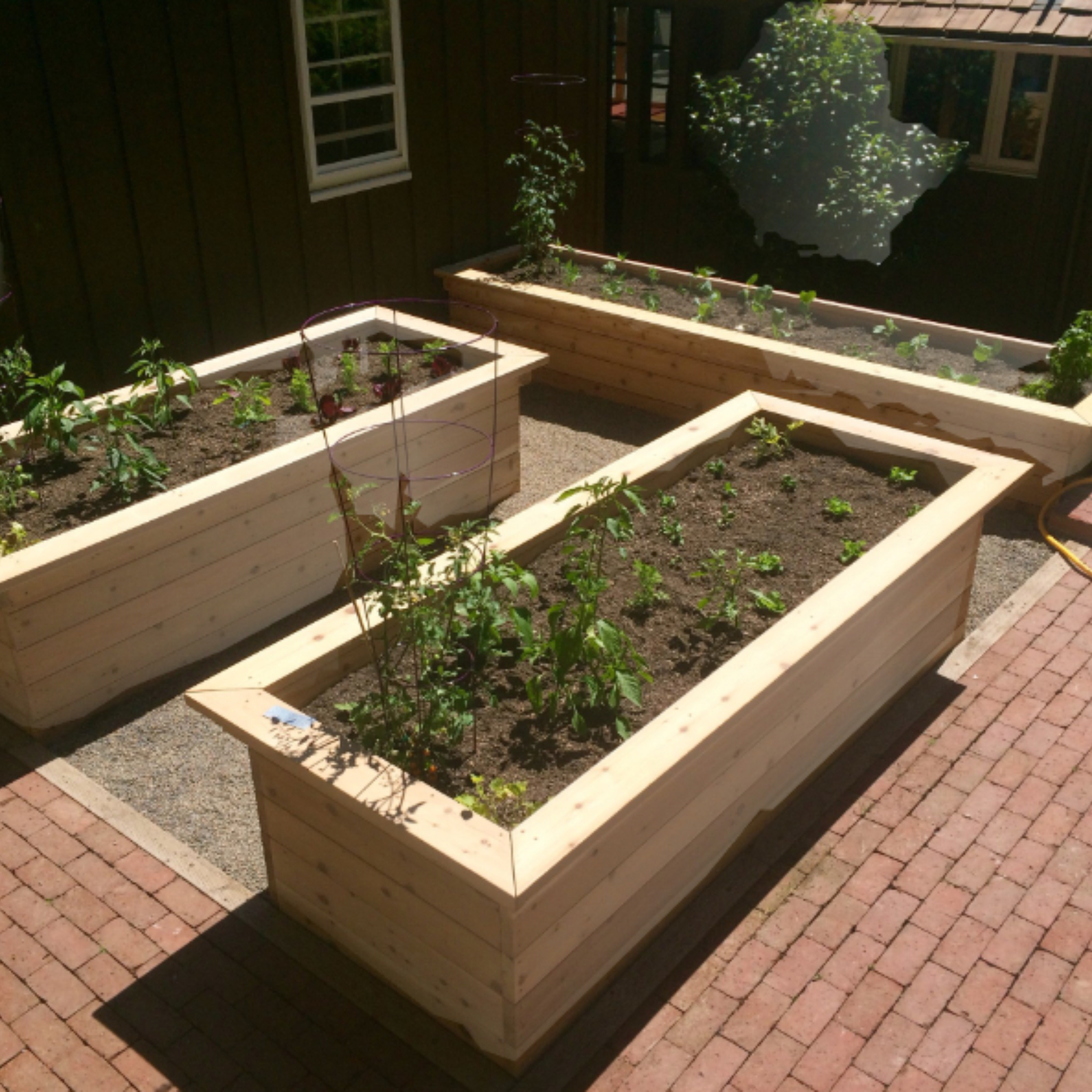 Raised Garden Bed