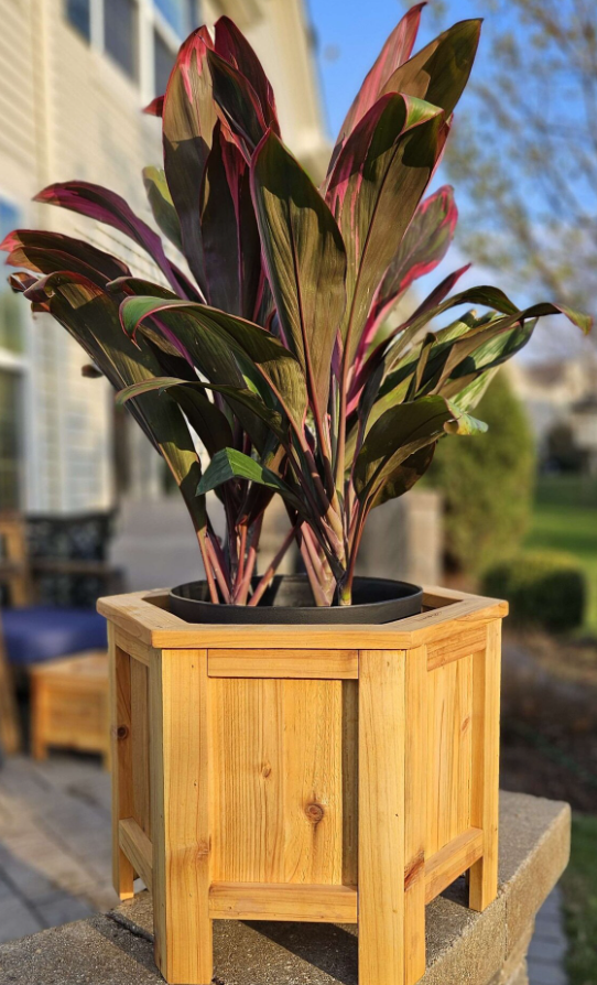 Octogon Planter Boxes (Local)